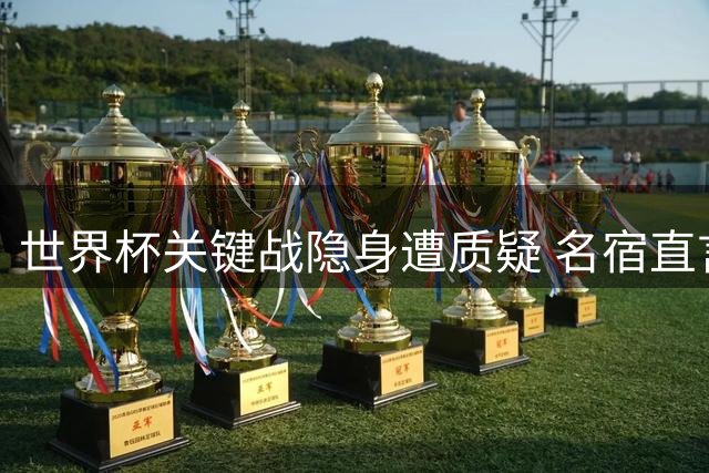 世界杯关键战隐身遭质疑 名宿直言凯恩金球奖希望渺茫