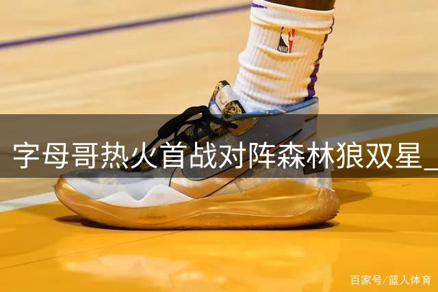 字母哥热火首战对阵森林狼双星 9人交易后迎来新征程
