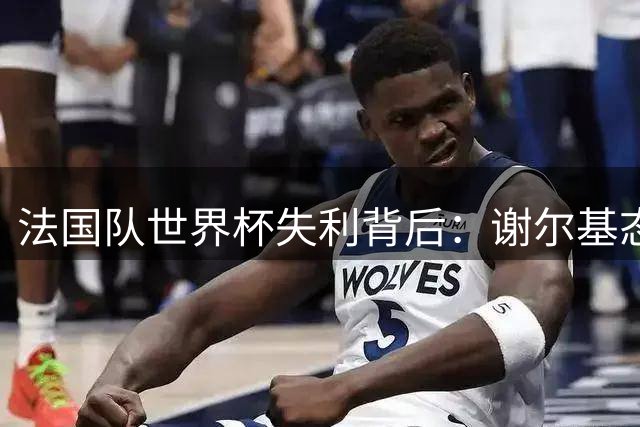 法国队世界杯失利背后：谢尔基态度遭质疑，战术准备不足引争议